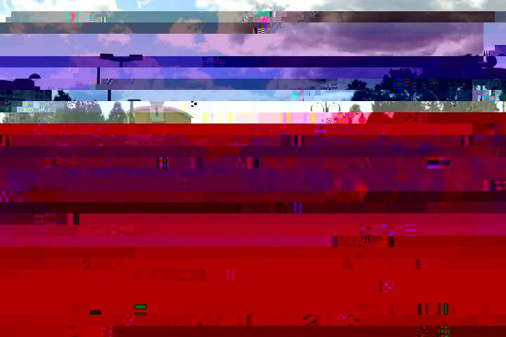IMG_174599877786274.jpeg